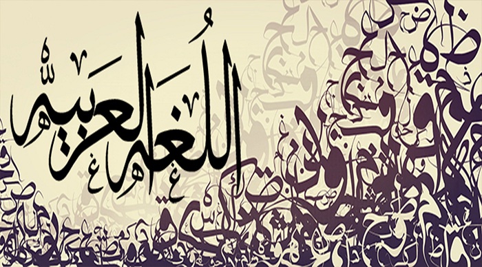 اللغة العربية بحرٌ لا ينتهي
