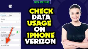 Check data verizon