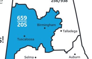 what area code is 205