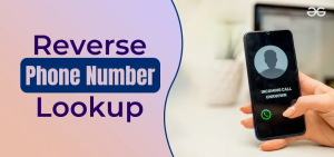 800 number lookup