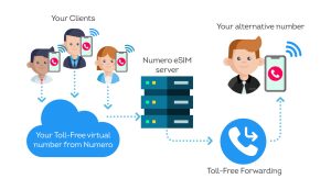 toll free number forwarding