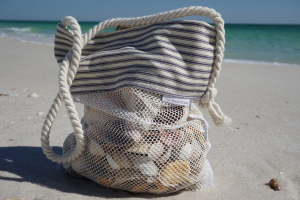 shell bag for beach