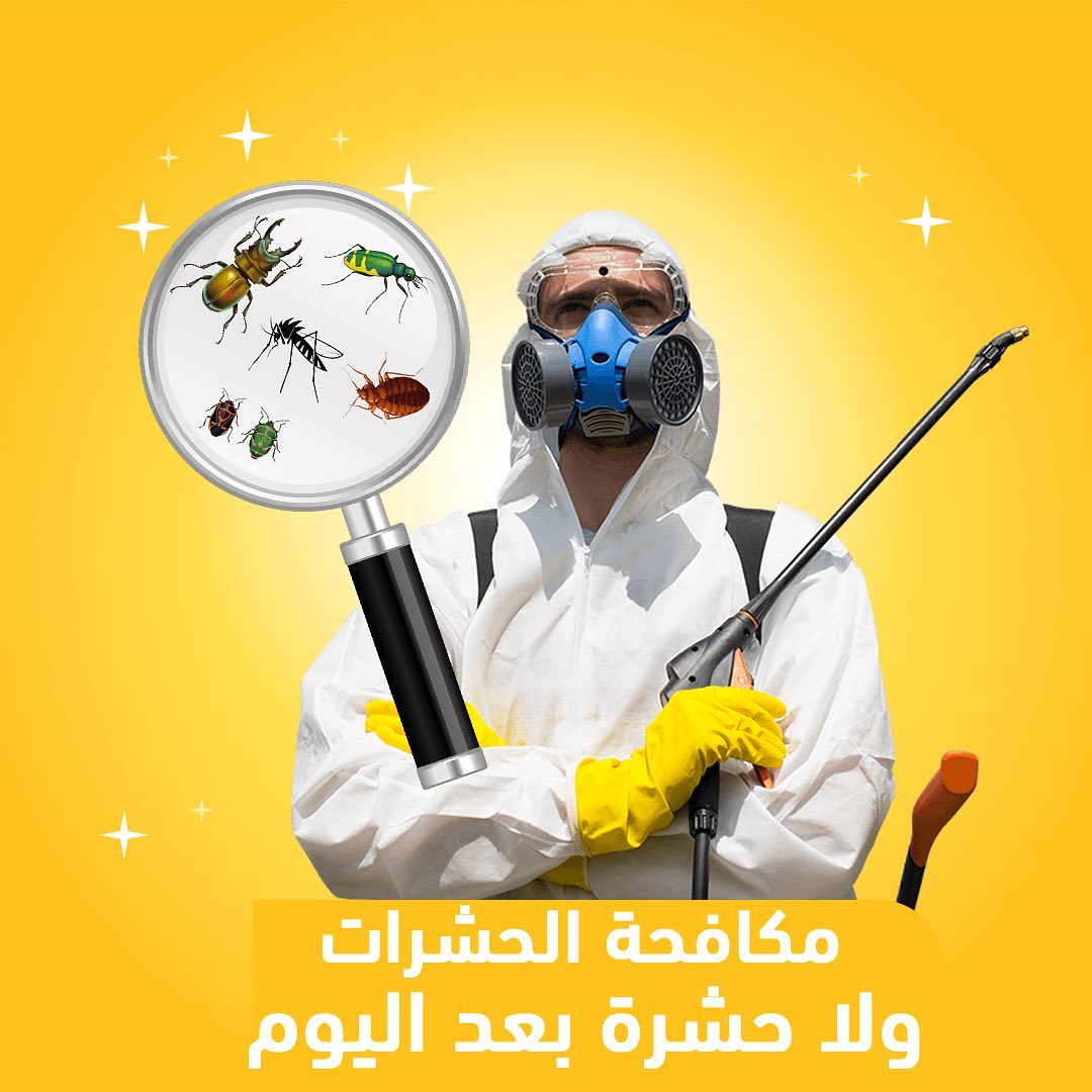شركة مكافحة الحشرات والآفات