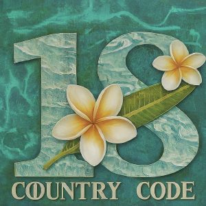 1 808 country code