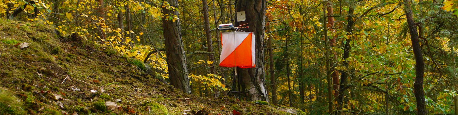 my postal code right now