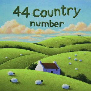 44 country number