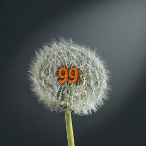 99 country code