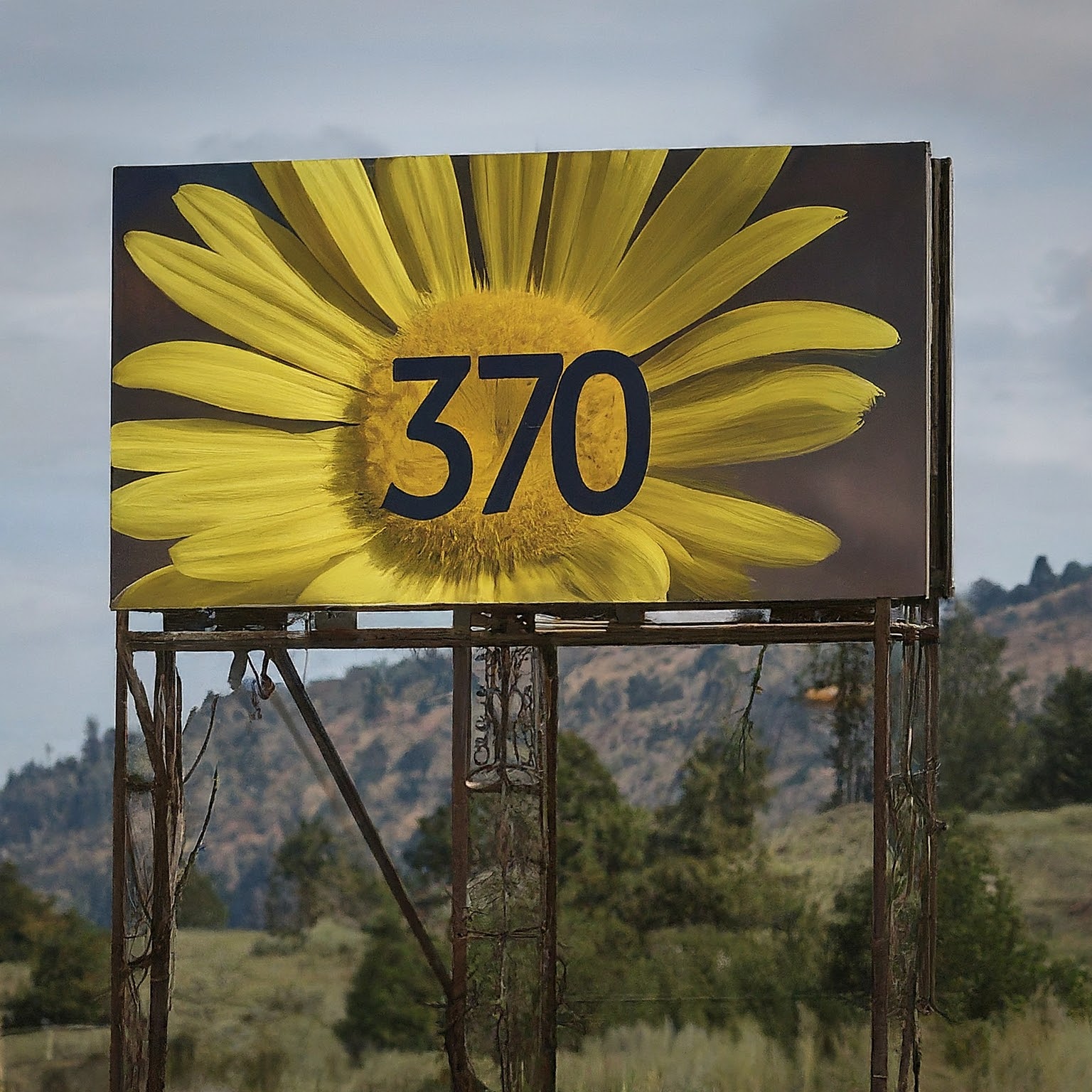 370 area code