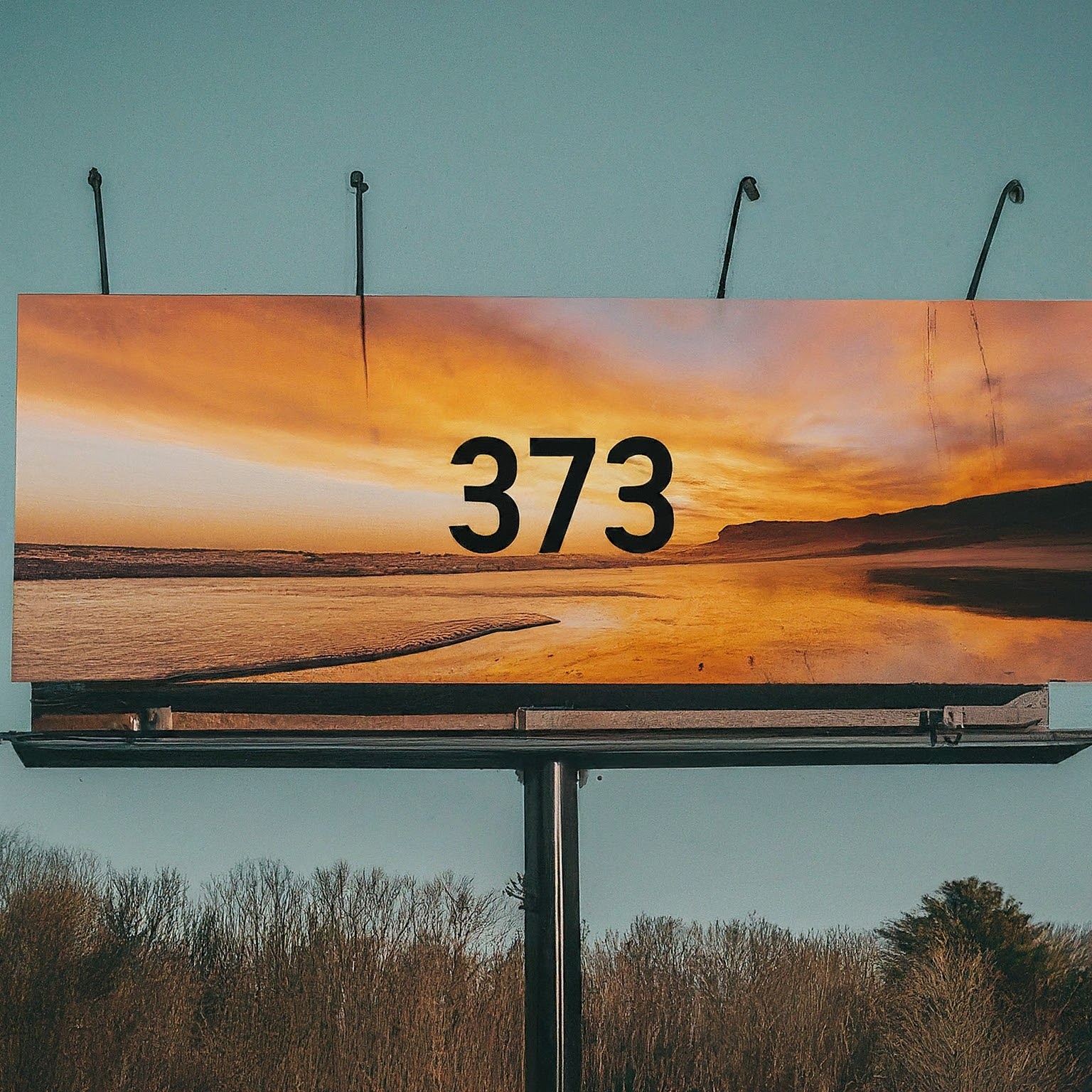 373 area code