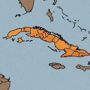 900 AREA CODE visual data 3