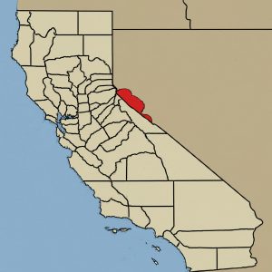 938 area code