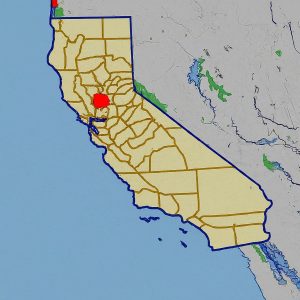 947 area code