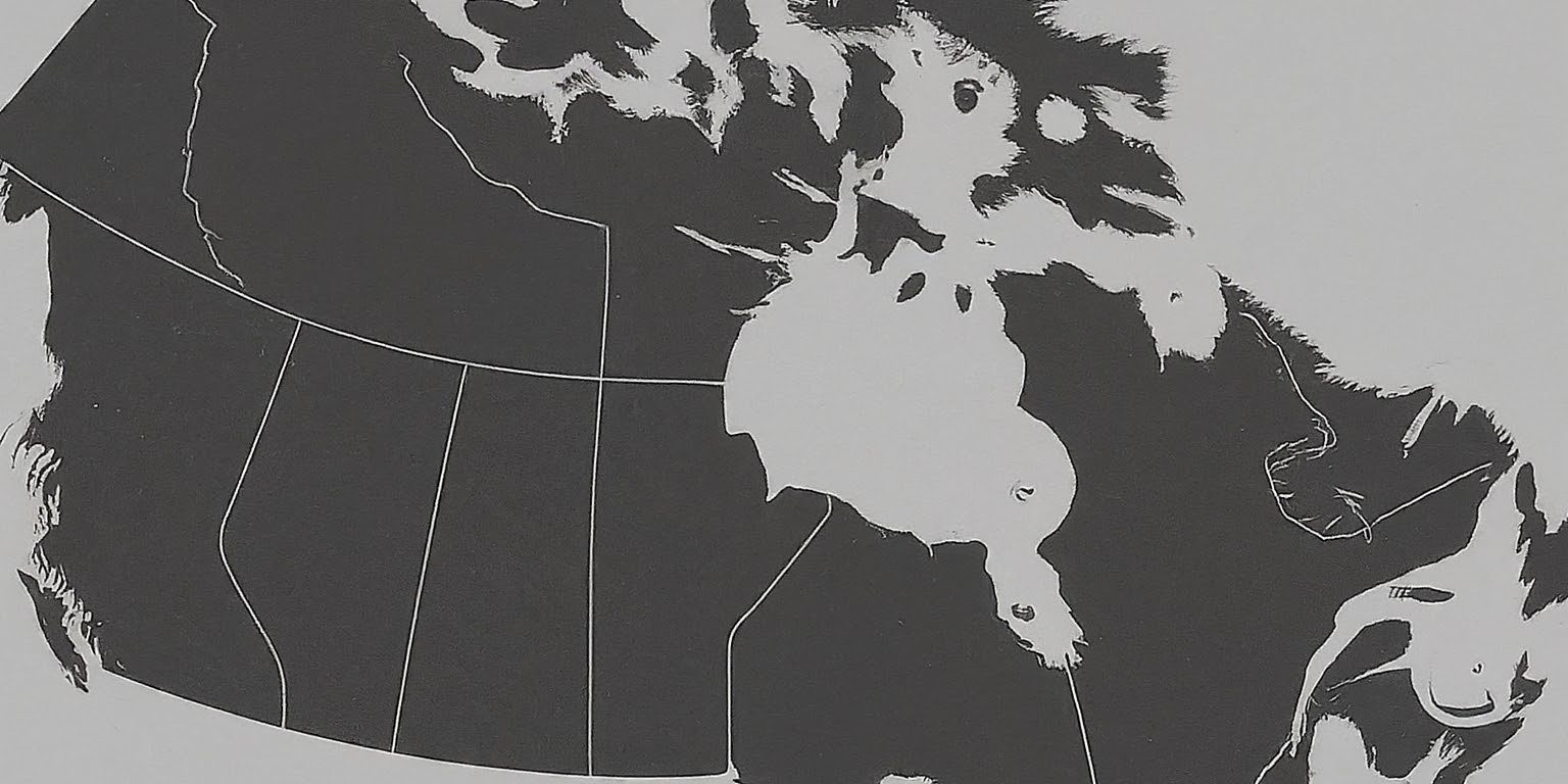 433 area code a non geographic code for the modern era pixelsseo company