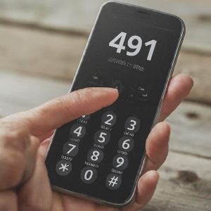 491 country code