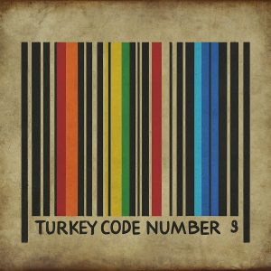 Turkey Code Number A Deep Dive