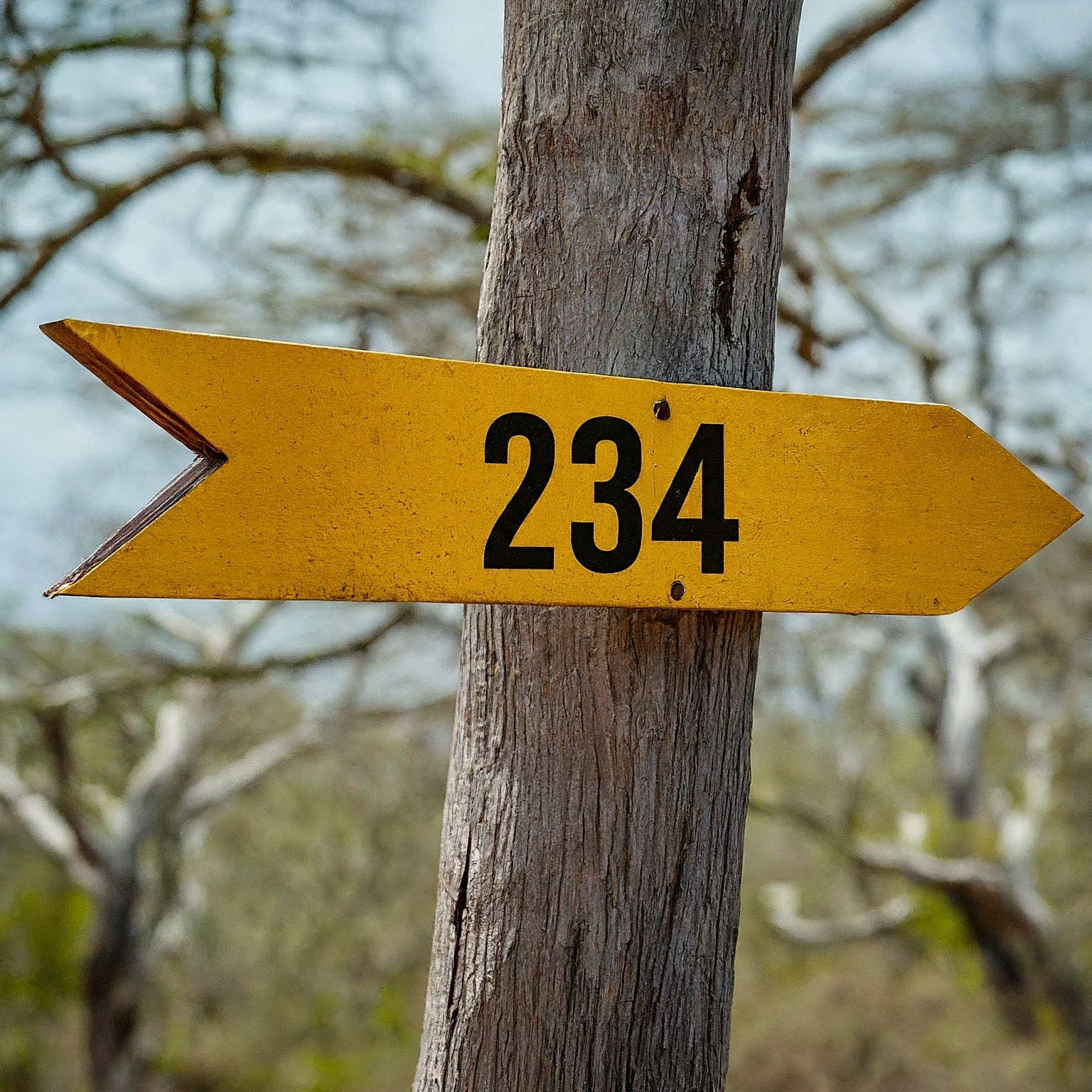 area code 234 location