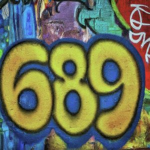 Code 689
