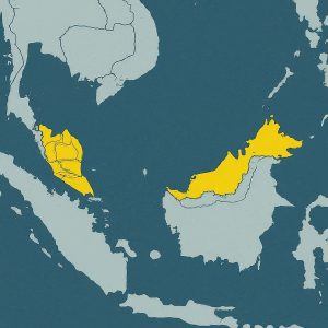 country code 60