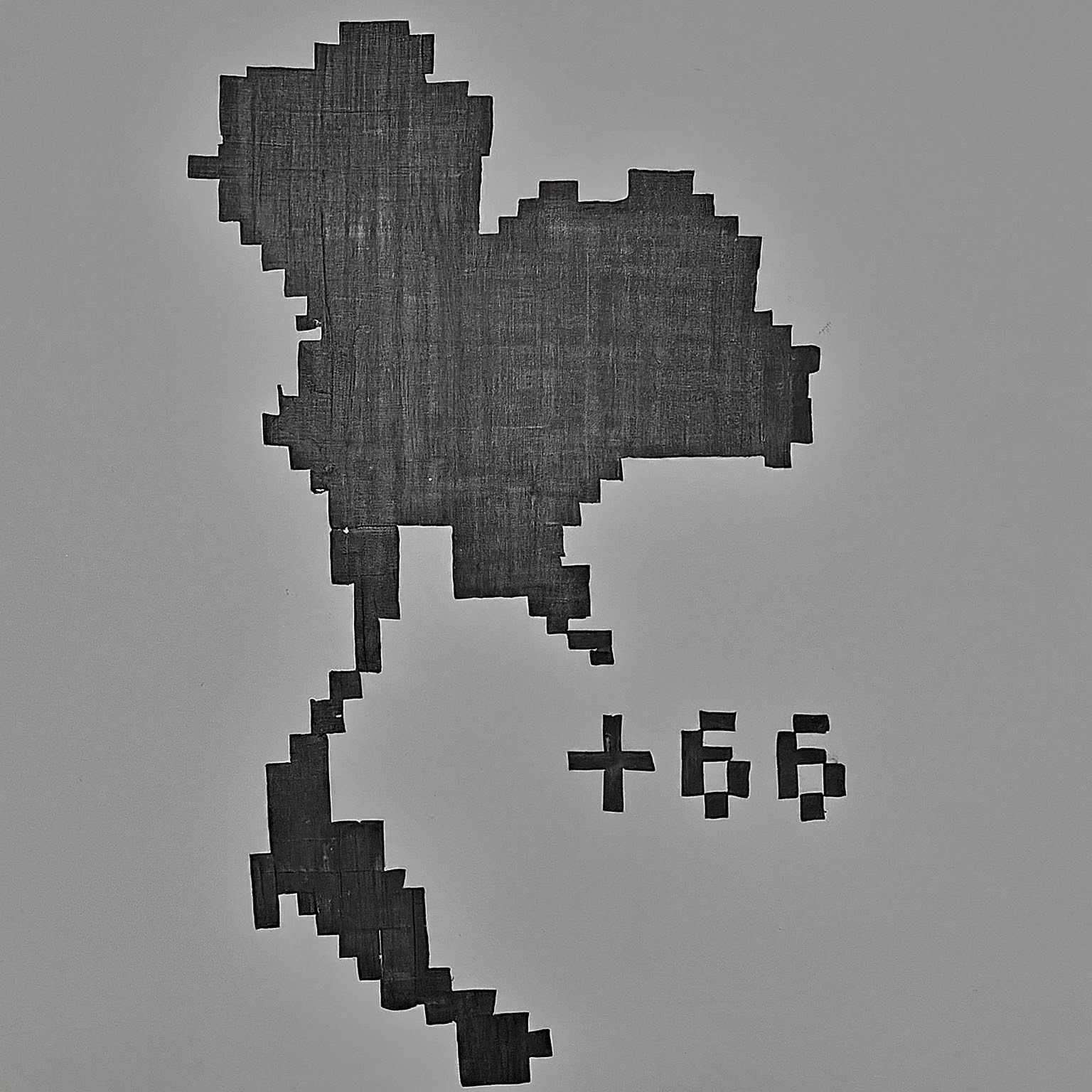 country code +66