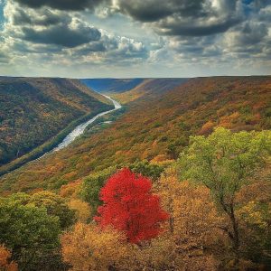 country code pennsylvania