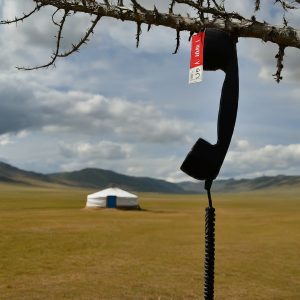 mongolia phone number