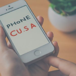 Phone codes usa