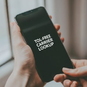Toll free carrier lookup