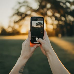 verizon wireless plans