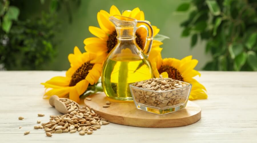 افضل مصنع زيت دوار الشمس