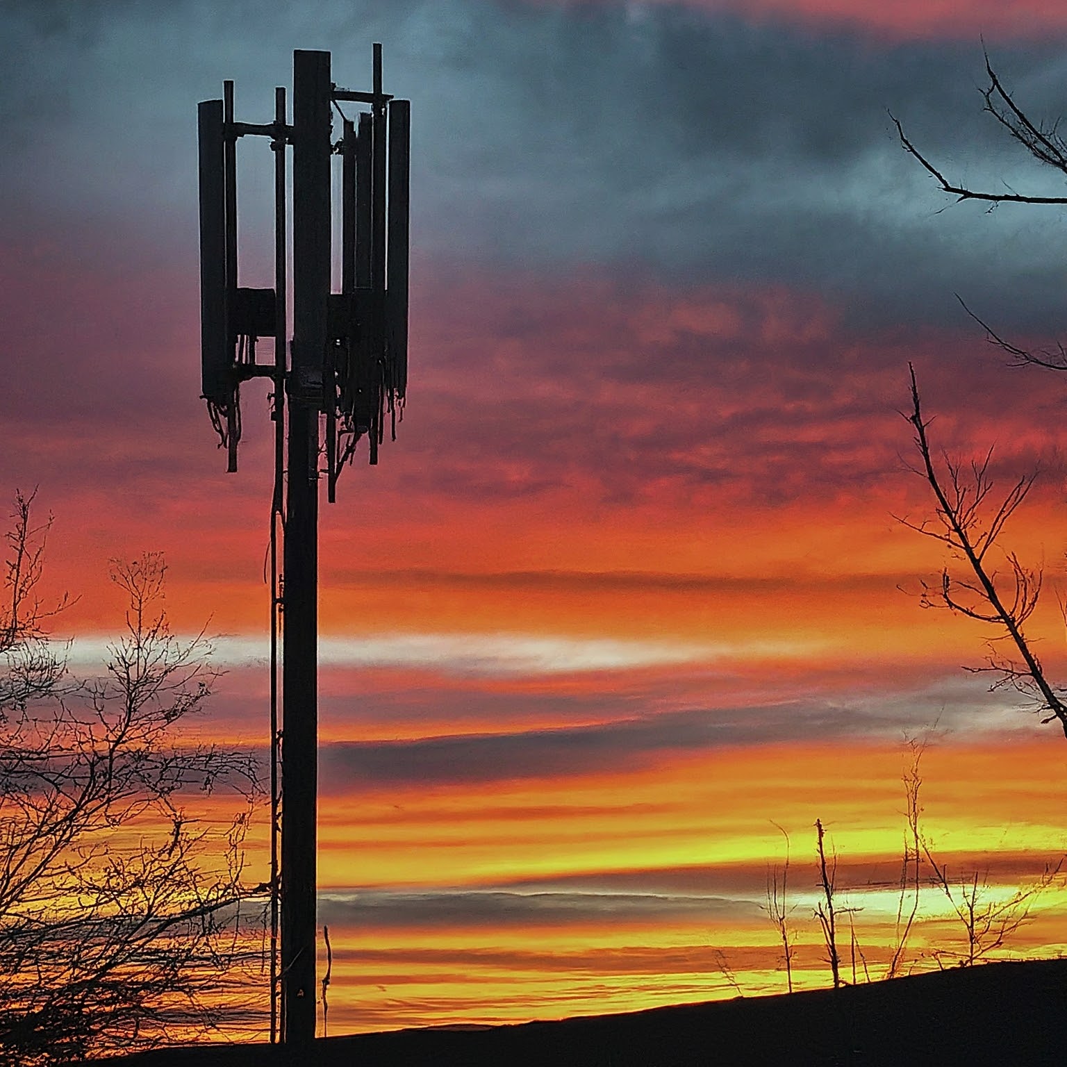 best phone service