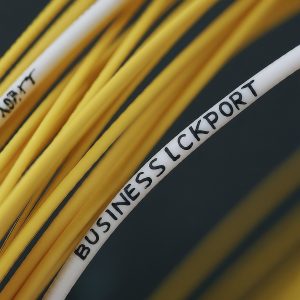 business internet lockport