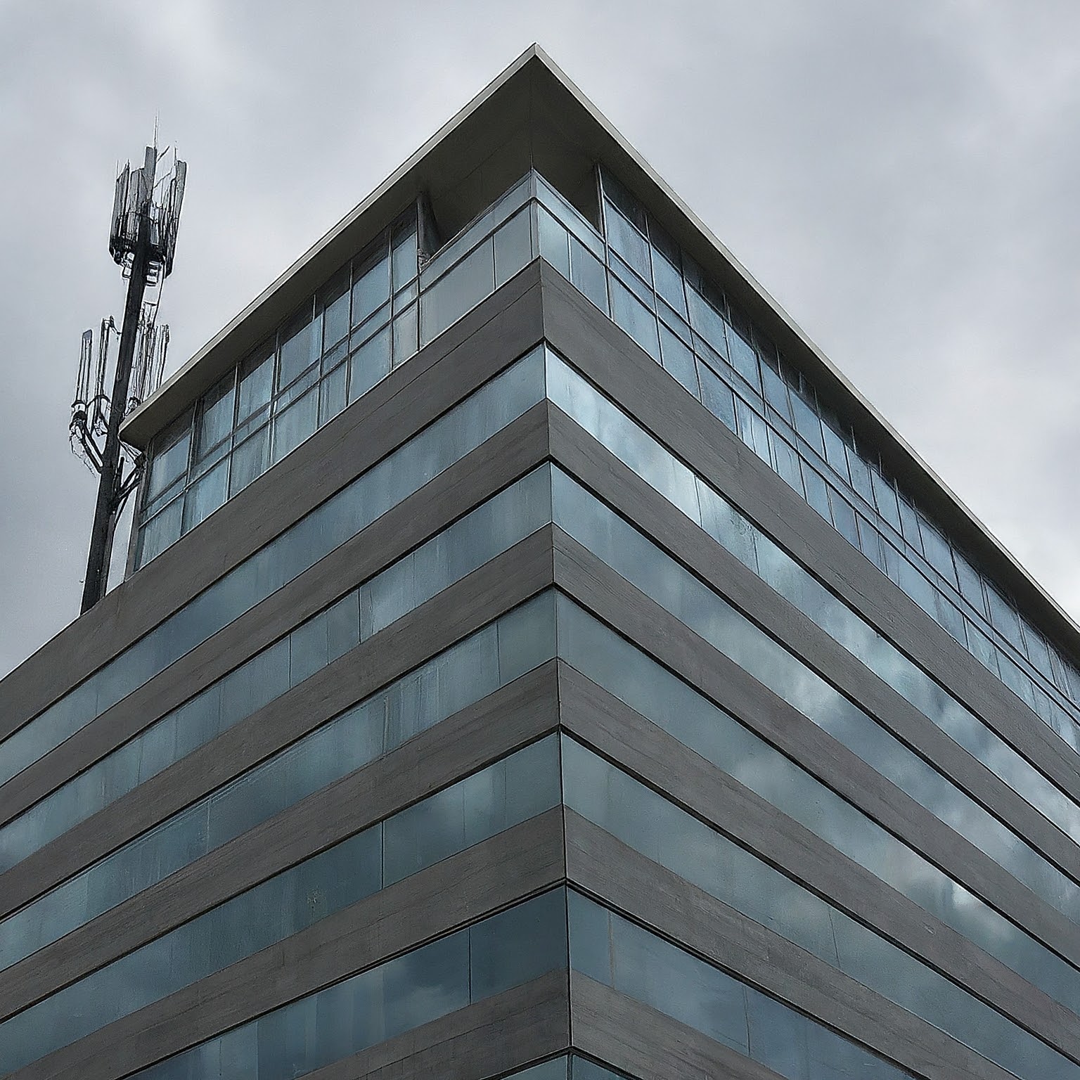 business phone service