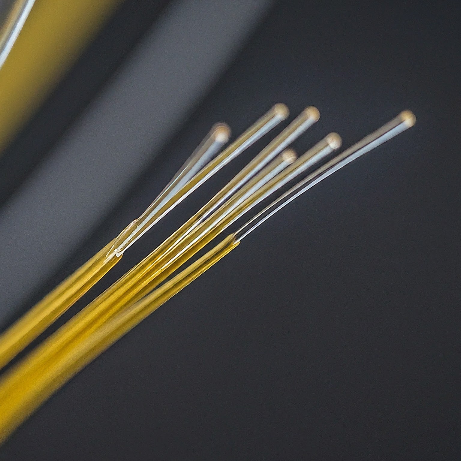 fiber wifi