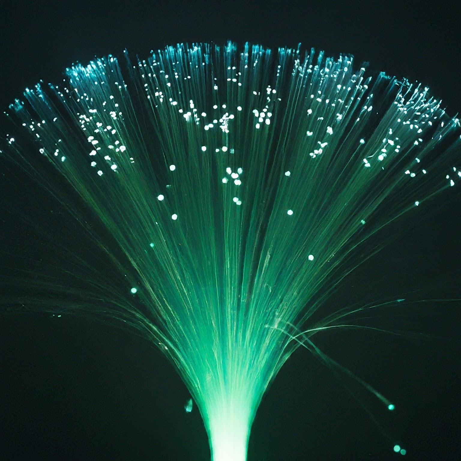 fort lauderdale internet providers