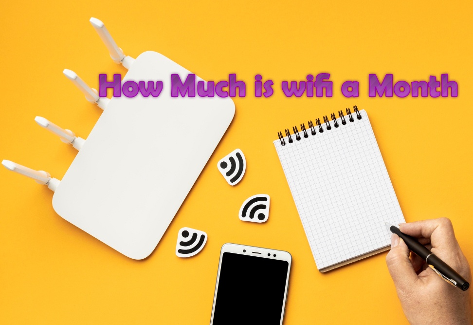 how much is wifi a month
