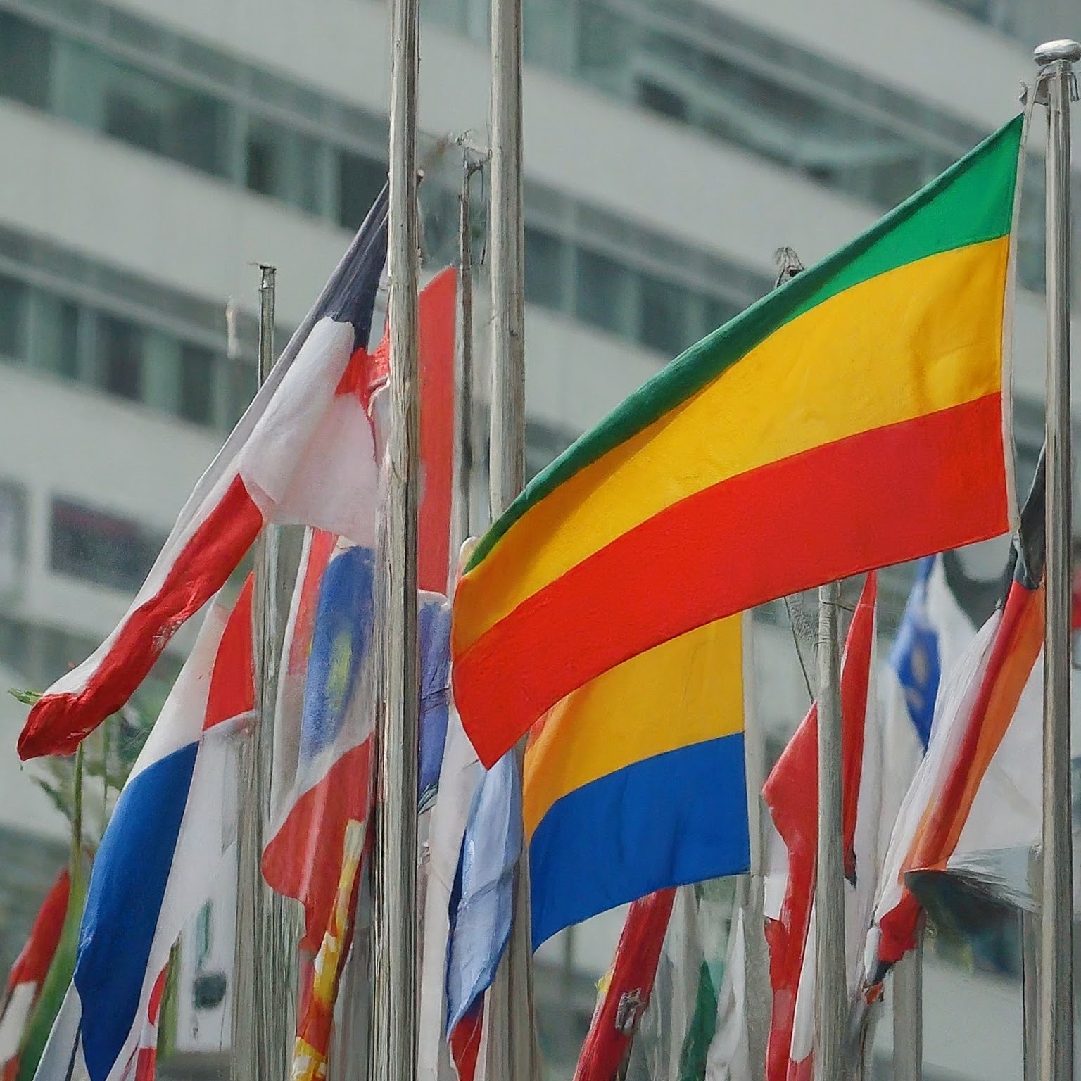how to make international calls