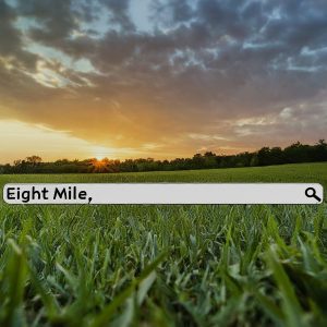 Internet eight mile, al