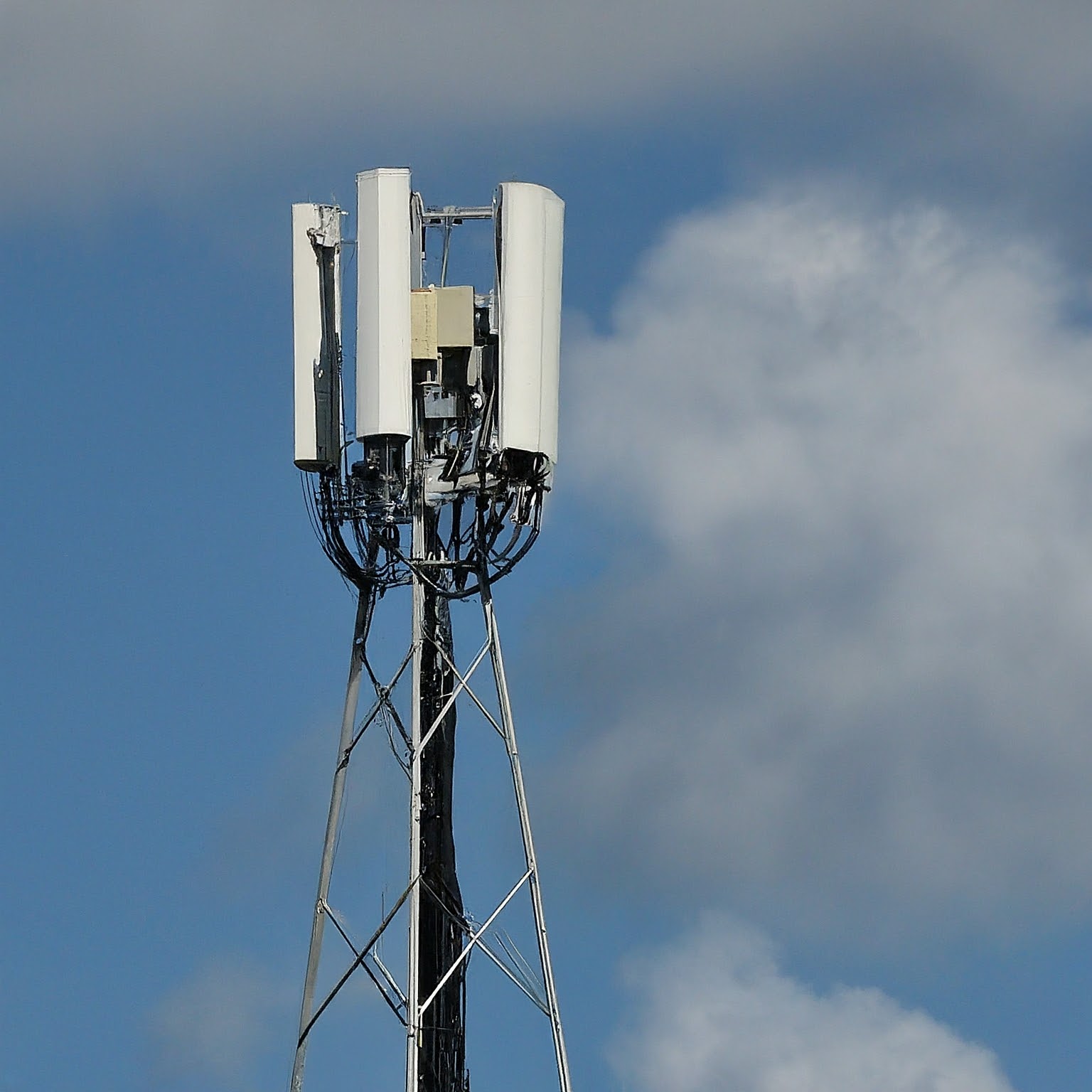 internet provider youngstown