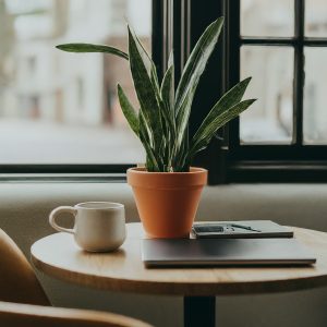 internet providers in grand junction co