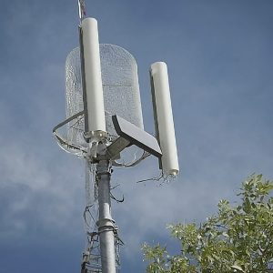 M vzw discounts