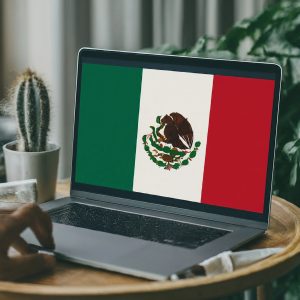 Mexico phone number