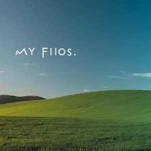 my fios