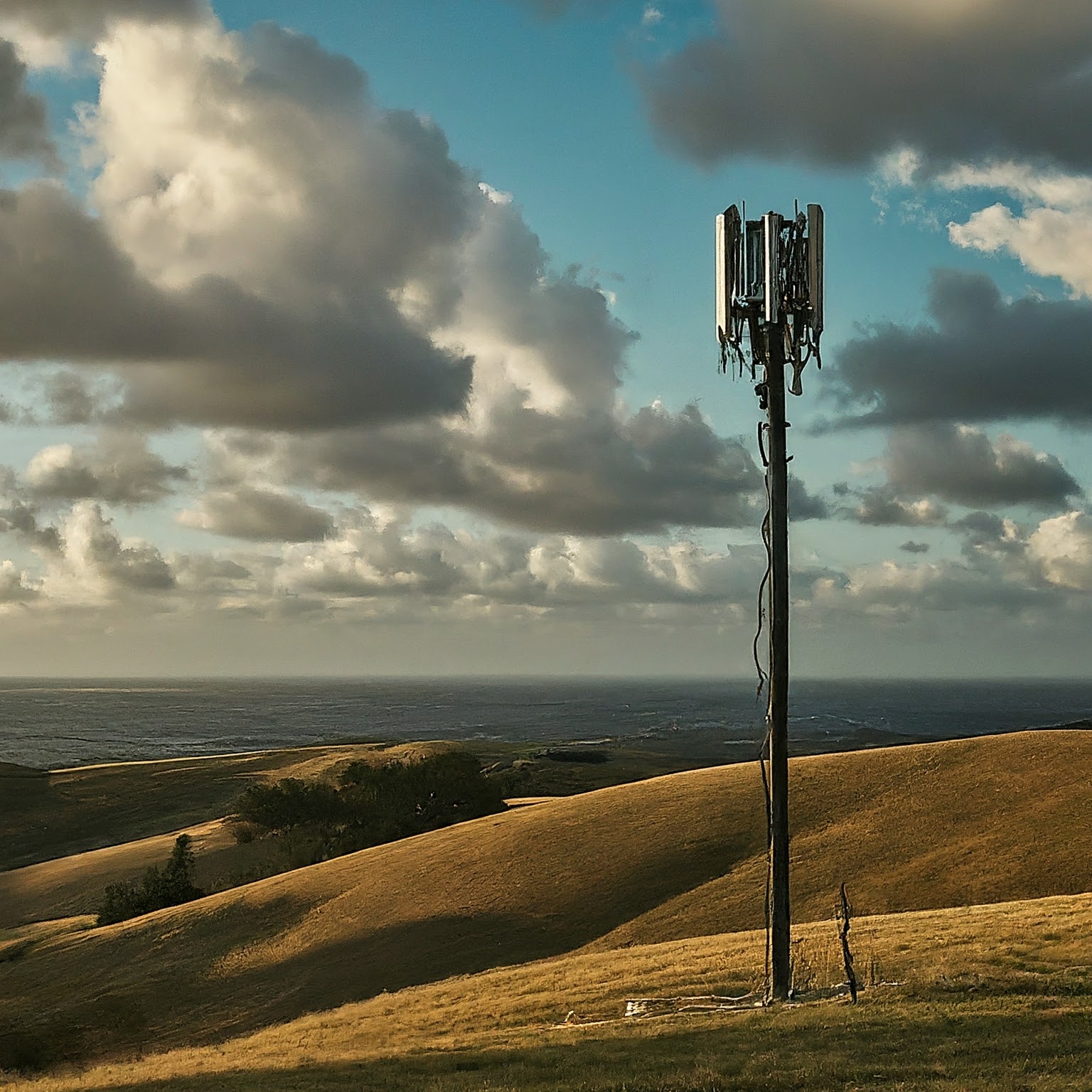 my verizon wireless
