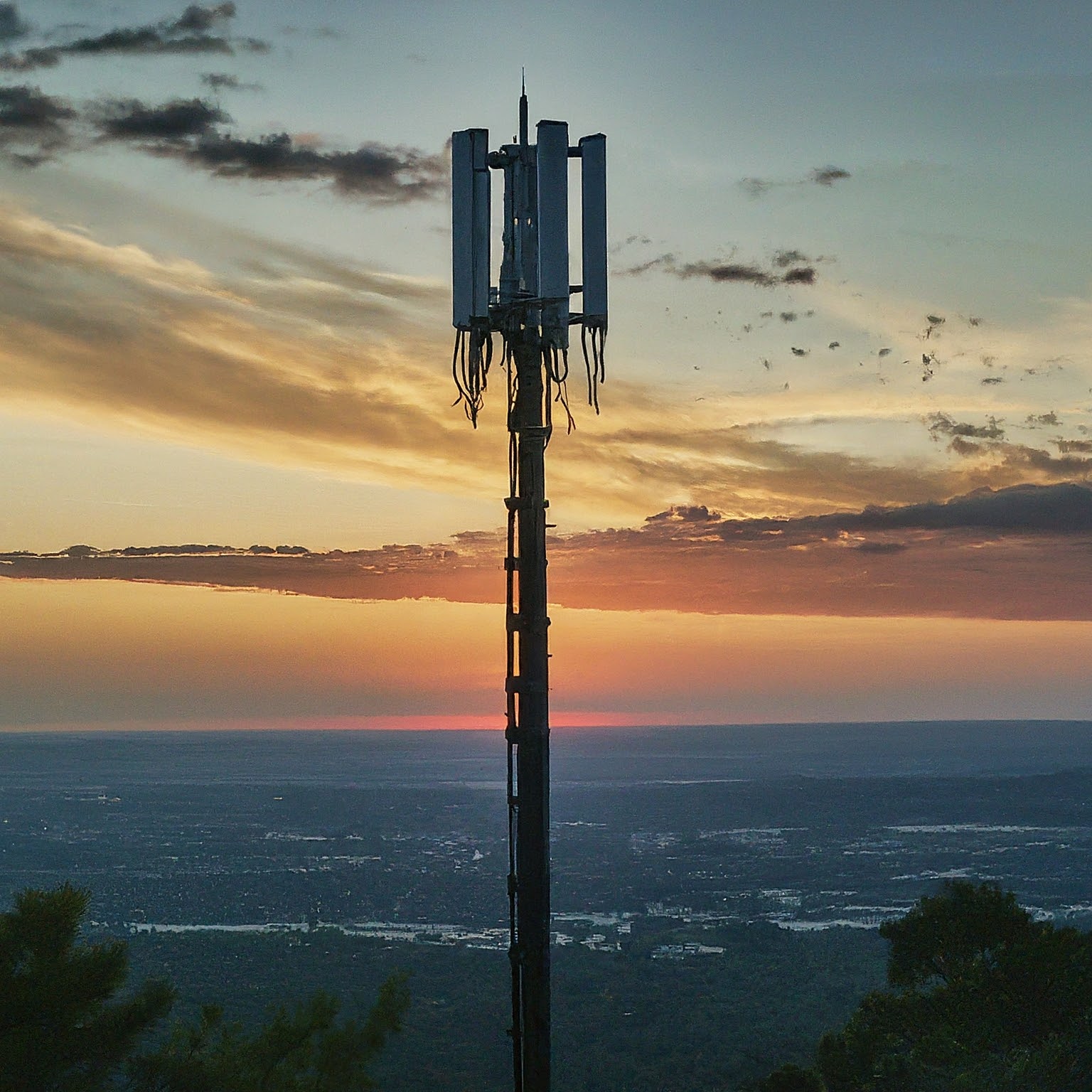 verizon business cell phone plans