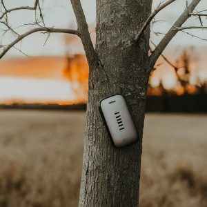verizon business deals