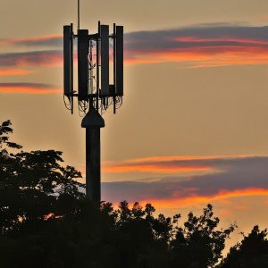 verizon business edmeston