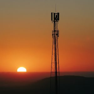 verizon business south egremont
