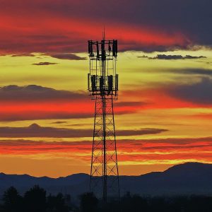 Verizon cell service