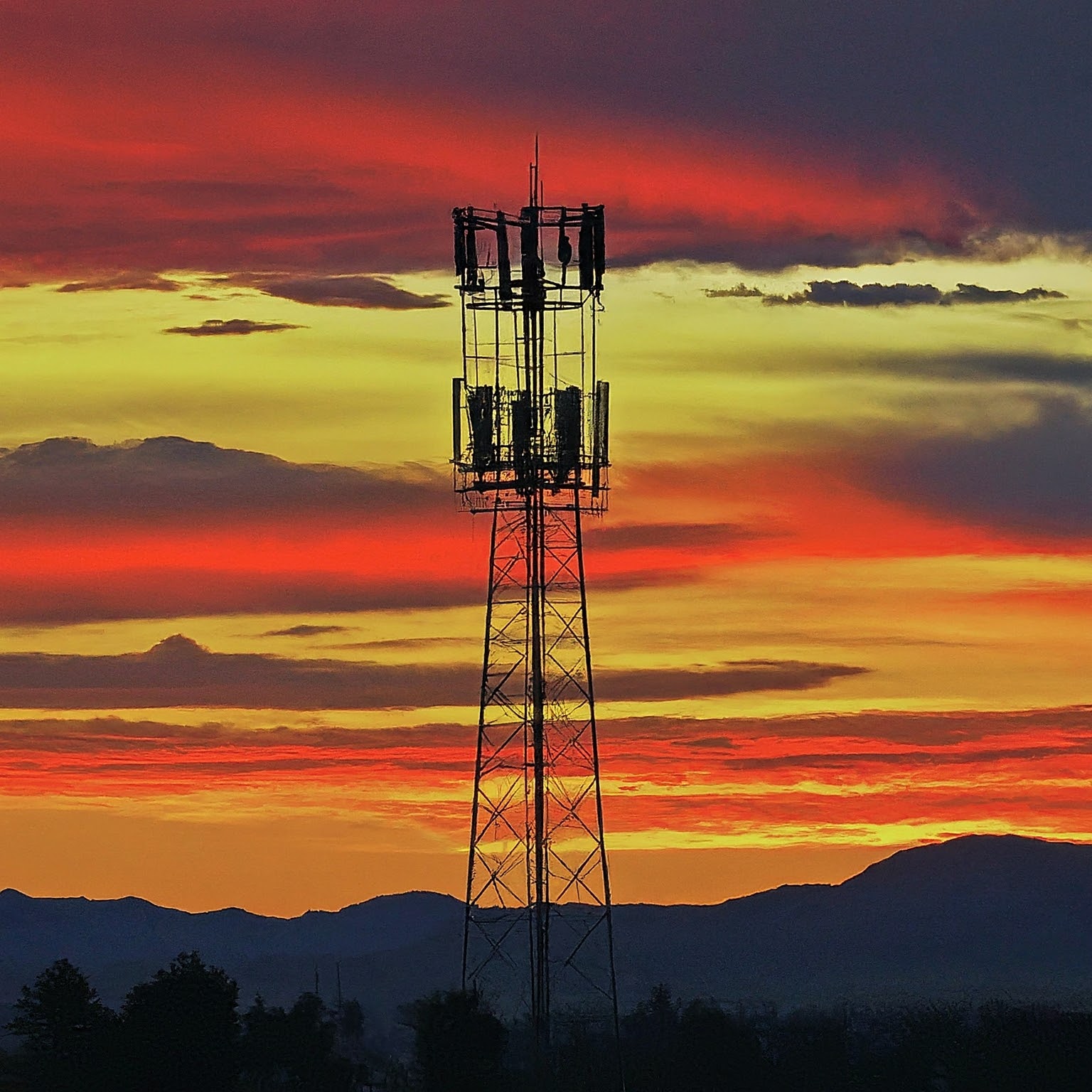 verizon cell service
