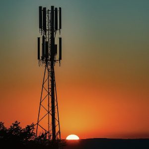 Verizon cellular sales